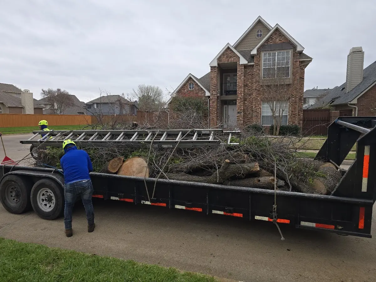 Expert Tree Fertilization with proper safety equipment in Granby